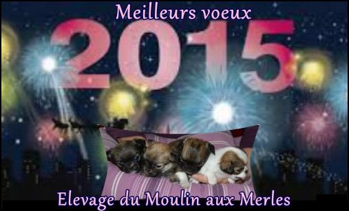 Du Moulin Aux Merles -  2015