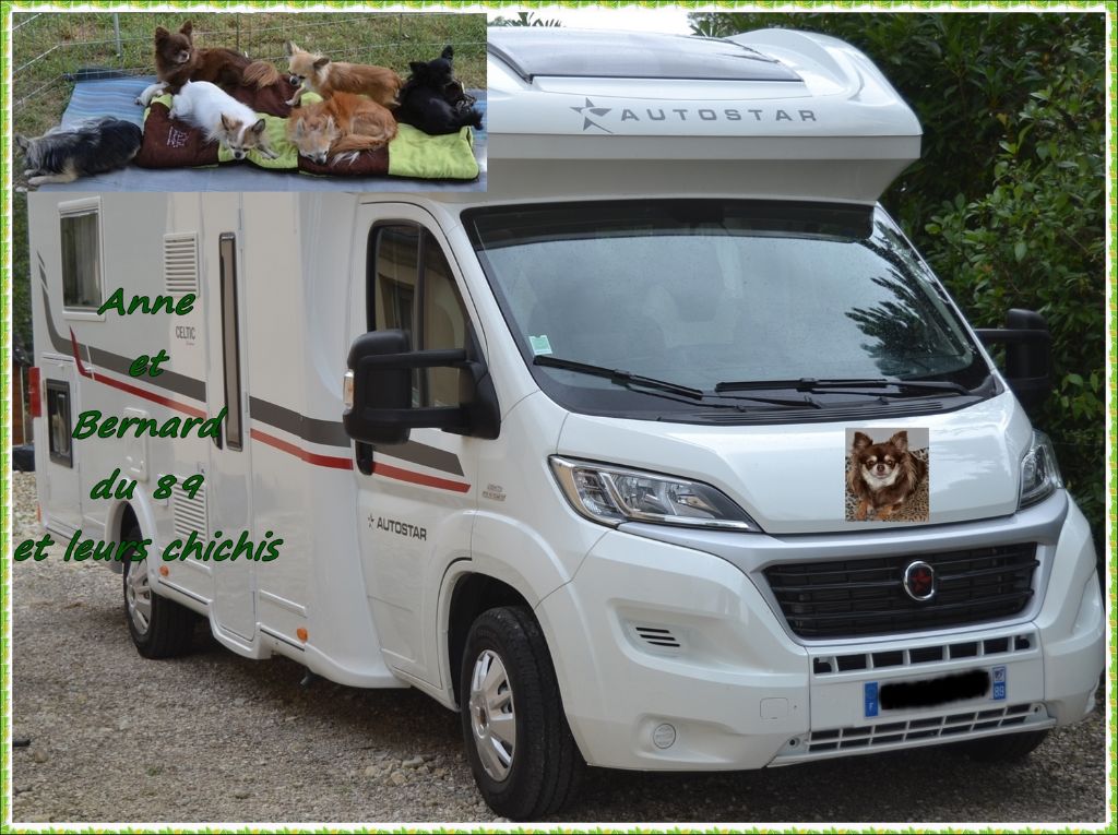 Nos chichis en vacances en camping car