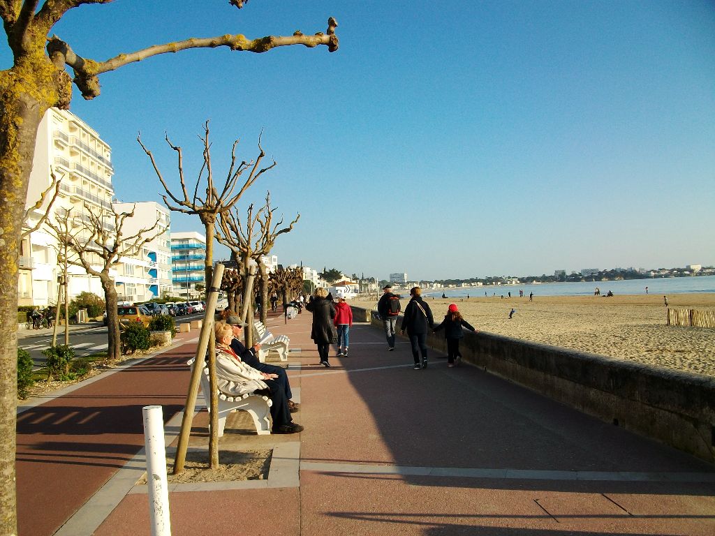la tribu à Royan (17 ). Février 2019